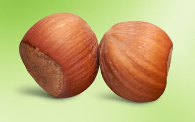 The Mid No-Nut November Check-In