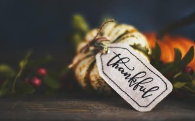 All The Things I’m Thankful For This Year